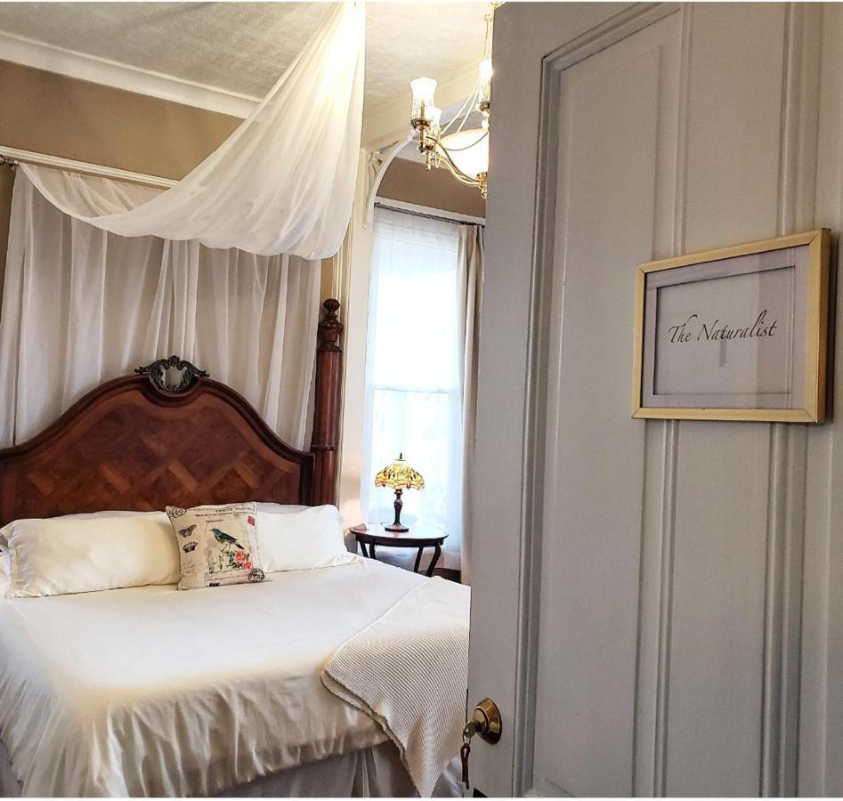 South Court Inn Лурей Екстериор снимка