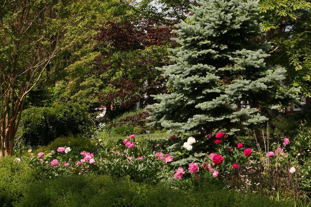 South Court Inn Лурей Екстериор снимка